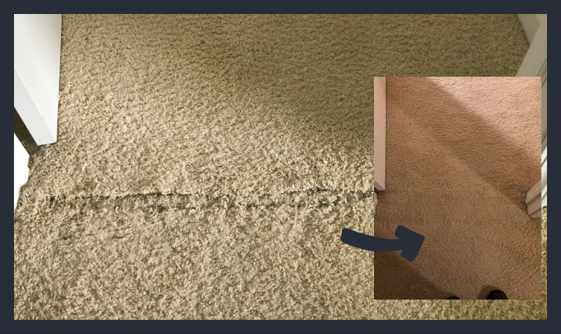 Repairing a bad carpet seam form pet damage